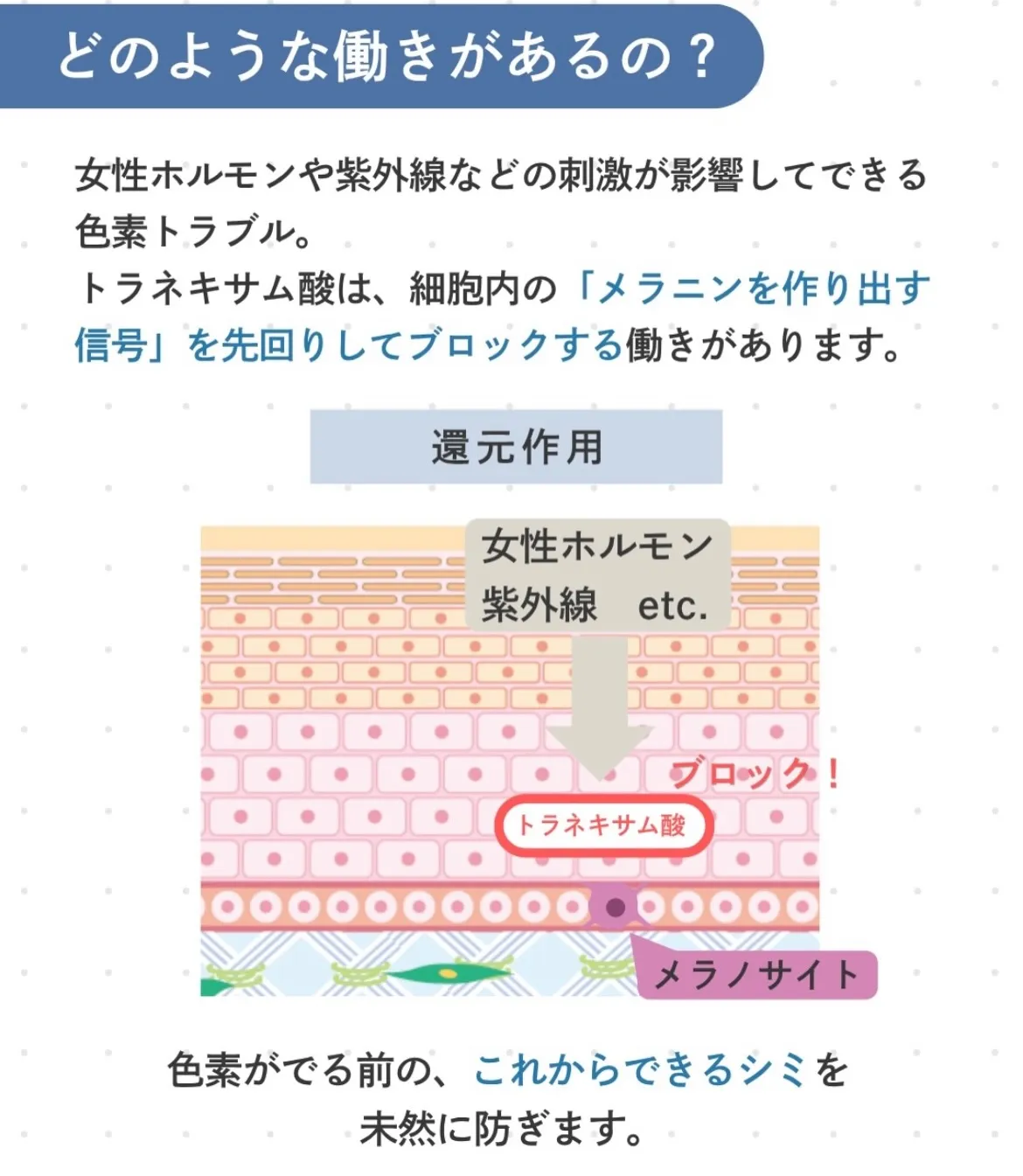 \シミ対策/